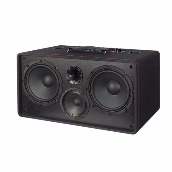Temeisheng 8 Inch Party Box 100 Watt Professional Portable Wireless Audio Blueotth Speaker with Microphone