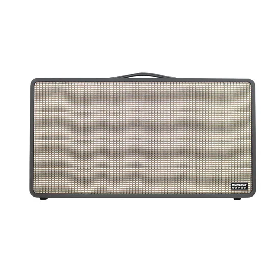 Temeisheng 8 Inch Party Box 100 Watt Professional Portable Wireless Audio Blueotth Speaker with Microphone