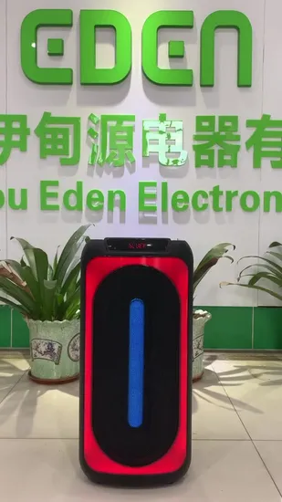 2023 New Arrival Dual 8.5 Inch 20W Audio Box for Karaoke with Attractive Light Bluetooth Wireless Portable Speaker