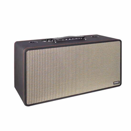 Temeisheng 8 Inch Party Box 100 Watt Professional Portable Wireless Audio Blueotth Speaker with Microphone
