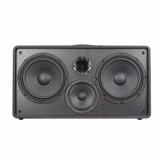 Temeisheng 8 Inch Party Box 100 Watt Professional Portable Wireless Audio Blueotth Speaker with Microphone
