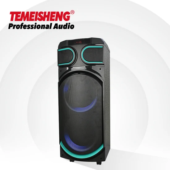 Temeisheng 8 인치 파티 상자 100 와트 전문 휴대용 무선 오디오 Blueotth 스피커 (마이크 포함)